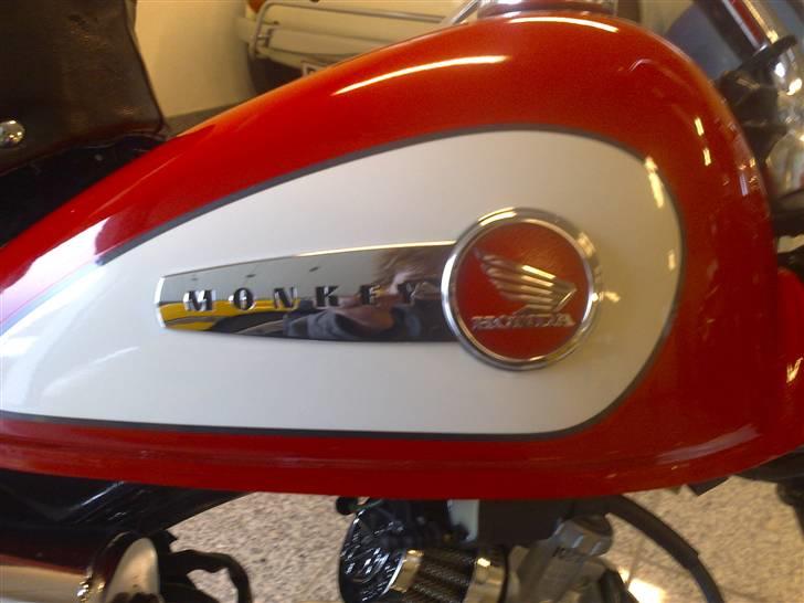 Honda Monkey billede 6