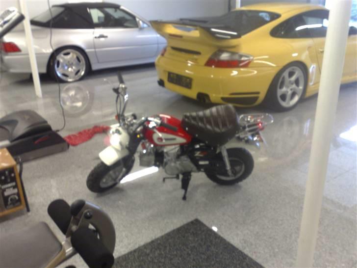 Honda Monkey billede 7