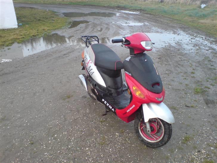 Pexma Vinterknallert (lynet) billede 3