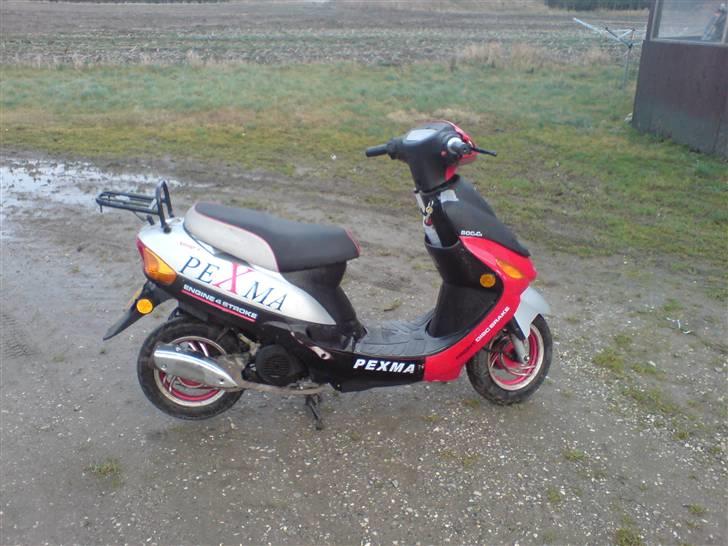 Pexma Vinterknallert (lynet) billede 4