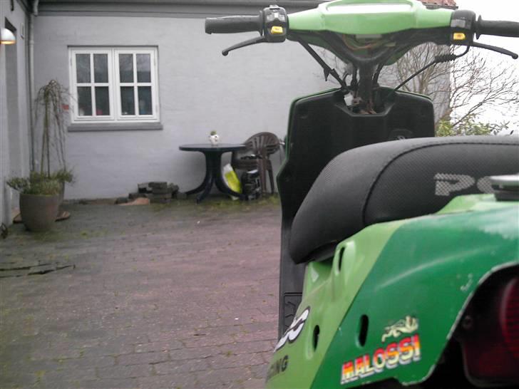 PGO Hot 50 - BYTTET TIL SFX - billede 4