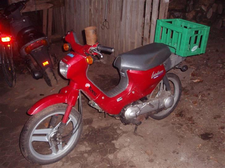 Honda Wallaroo billede 1