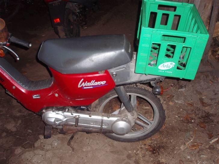 Honda Wallaroo billede 3