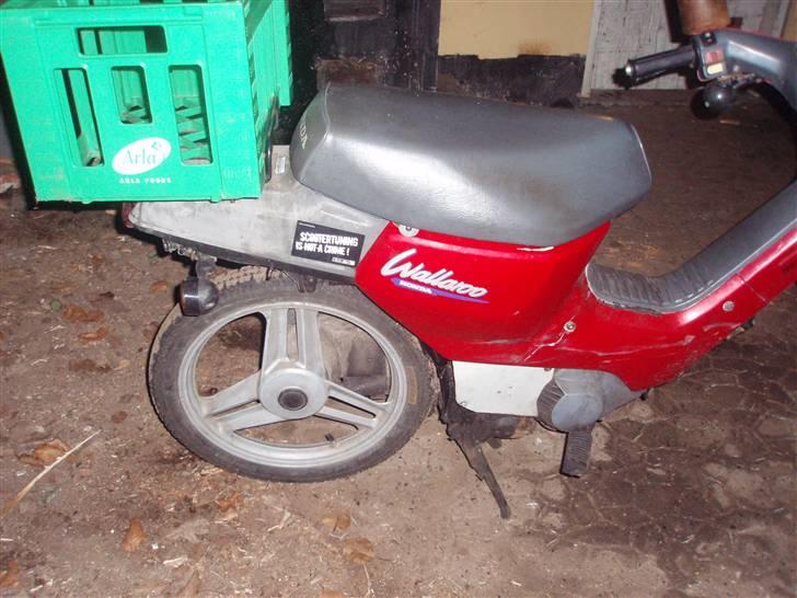Honda Wallaroo billede 5