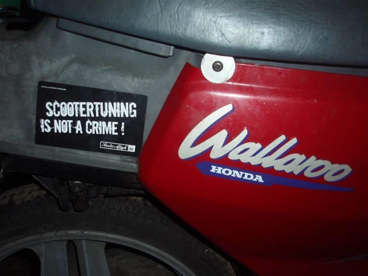 Honda Wallaroo billede 8