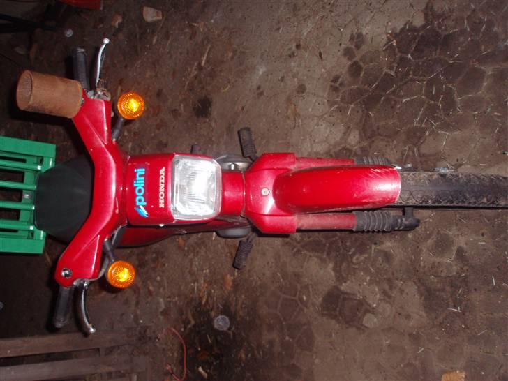 Honda Wallaroo billede 9