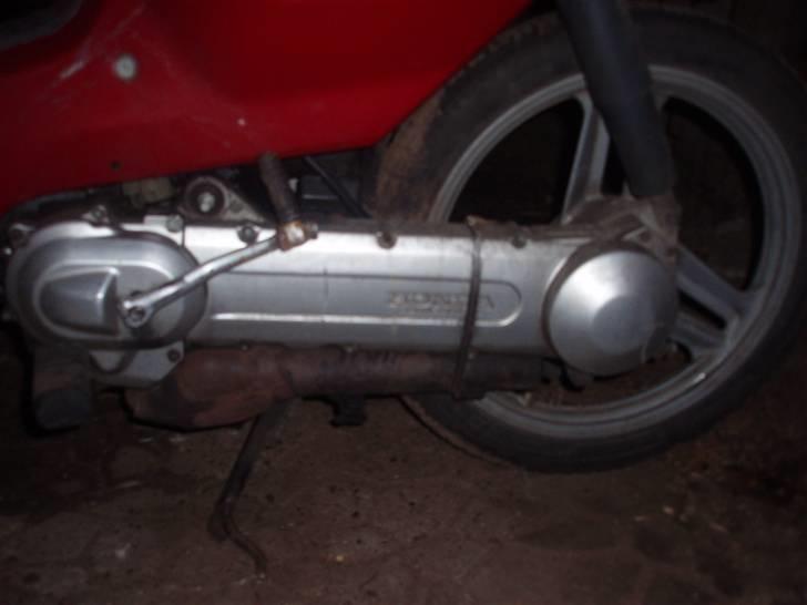 Honda Wallaroo billede 11