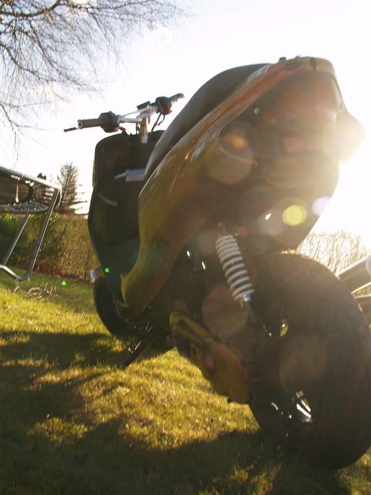 Kreidler easy rider   SoLgt ! billede 2