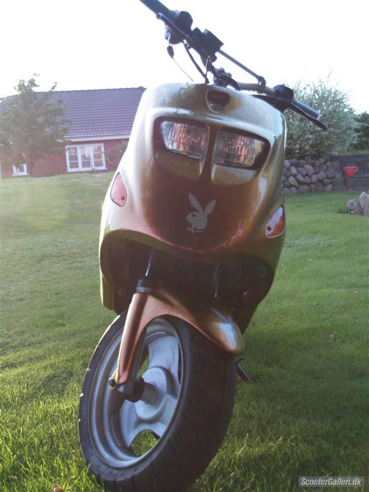 Kreidler easy rider   SoLgt ! billede 3