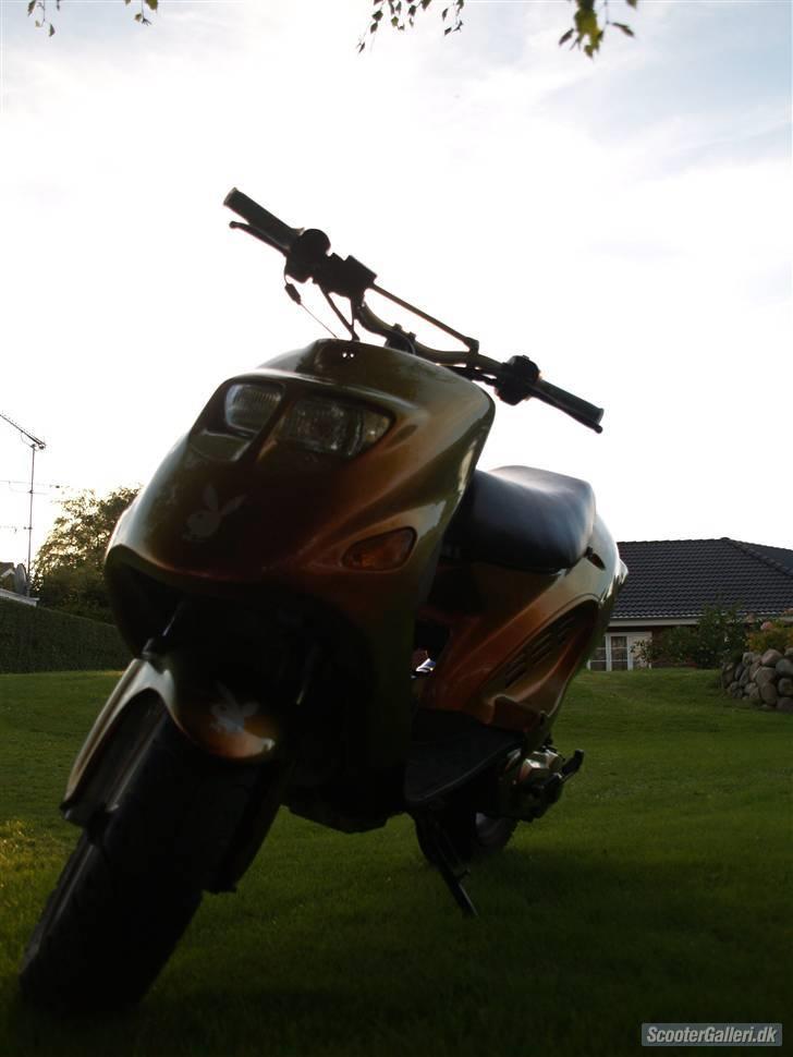 Kreidler easy rider   SoLgt ! billede 6