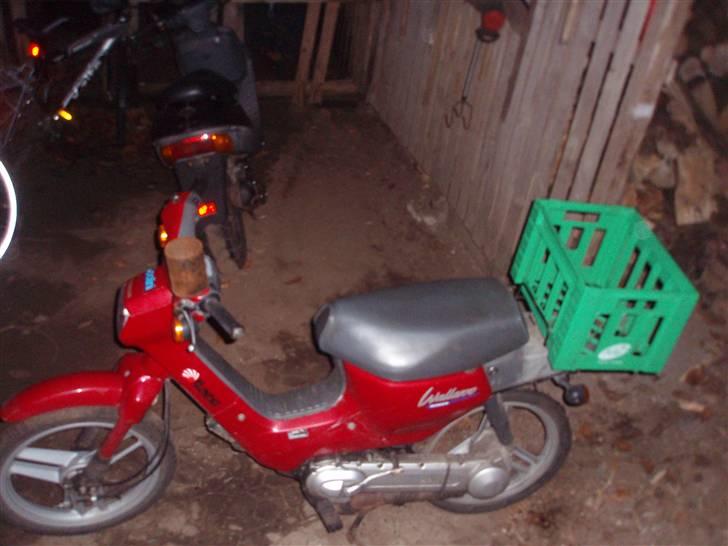 Honda Wallaroo billede 12