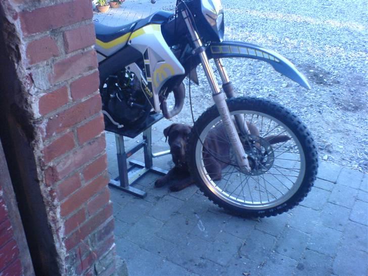 Gilera RCR byttet til rieju billede 6