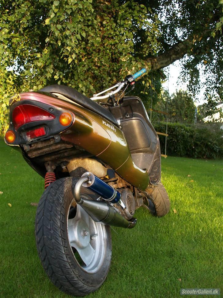 Kreidler easy rider   SoLgt ! billede 7