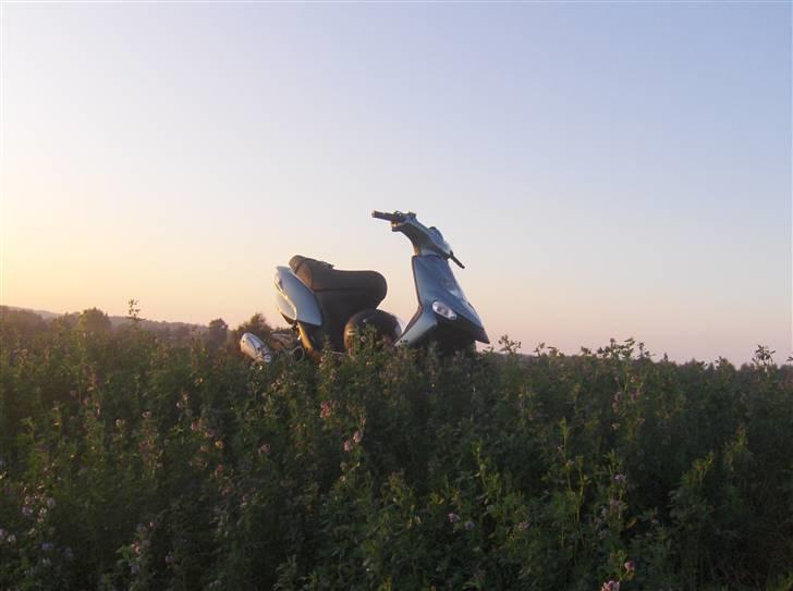 Gilera !Stalker! Solgt billede 5