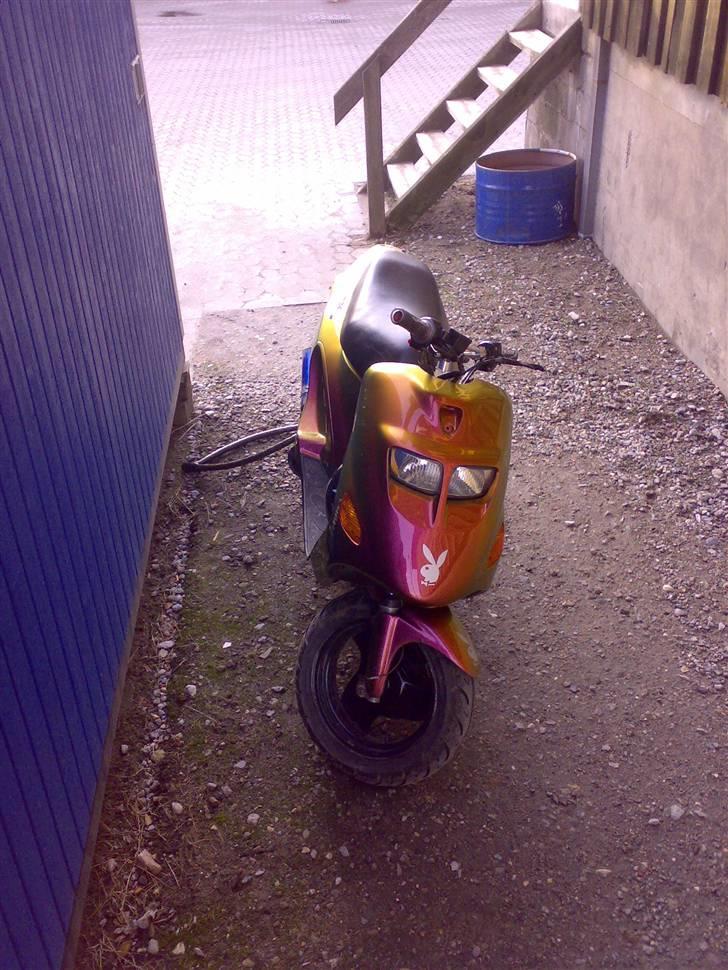 Kreidler easy rider   SoLgt ! billede 9