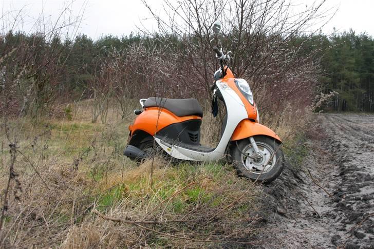 Sym Mio 50 rip billede 5