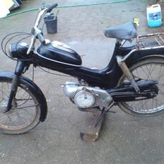 Puch standard/ms50