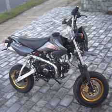 Honda Maxpro 50 SOLGT Hinnerup