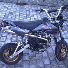 Honda Maxpro 50 SOLGT Hinnerup