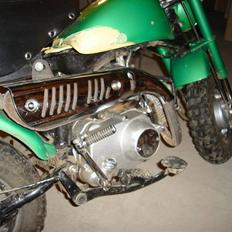 Jincheng Monkey   [SOLGT]