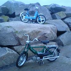 Puch Maxi e50 SOLGT