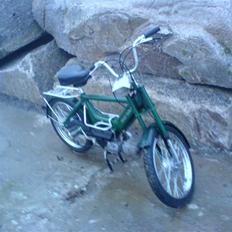 Puch Maxi e50 SOLGT