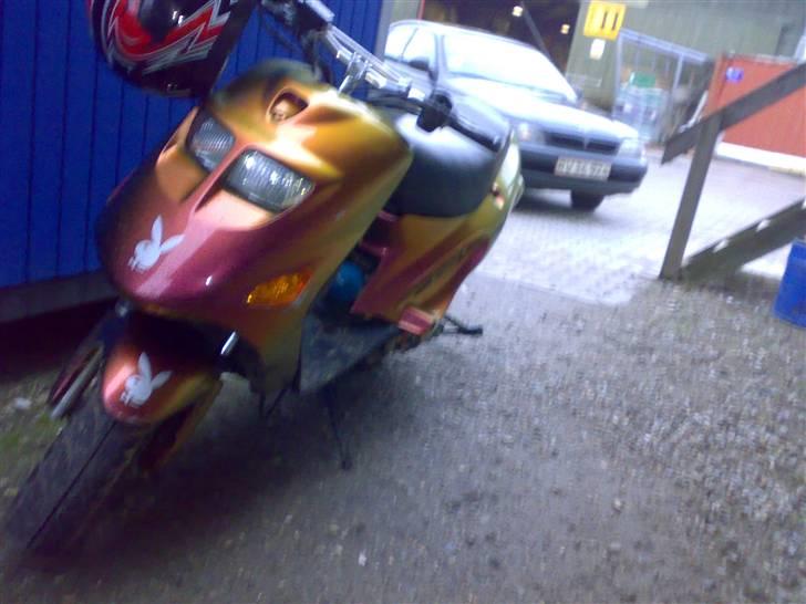 Kreidler easy rider   SoLgt ! billede 10