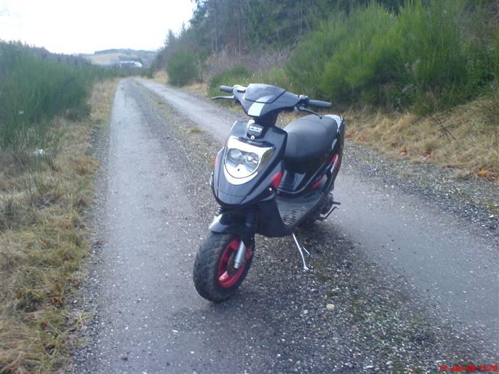 PGO hot50 << byttet >> billede 3