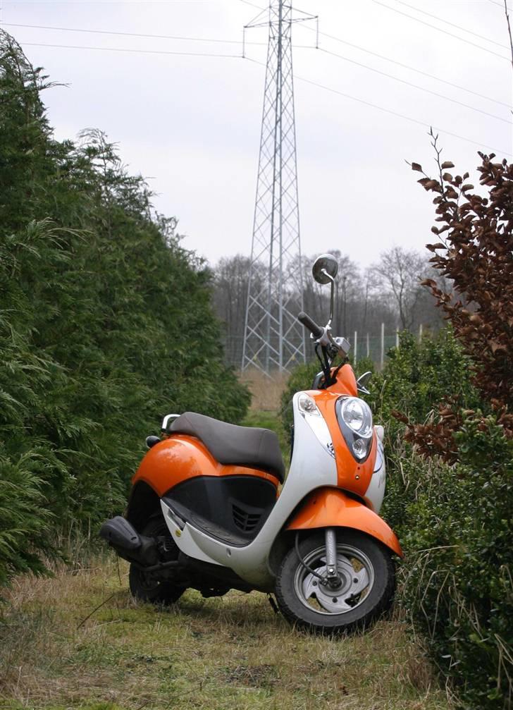 Sym Mio 50 rip billede 8