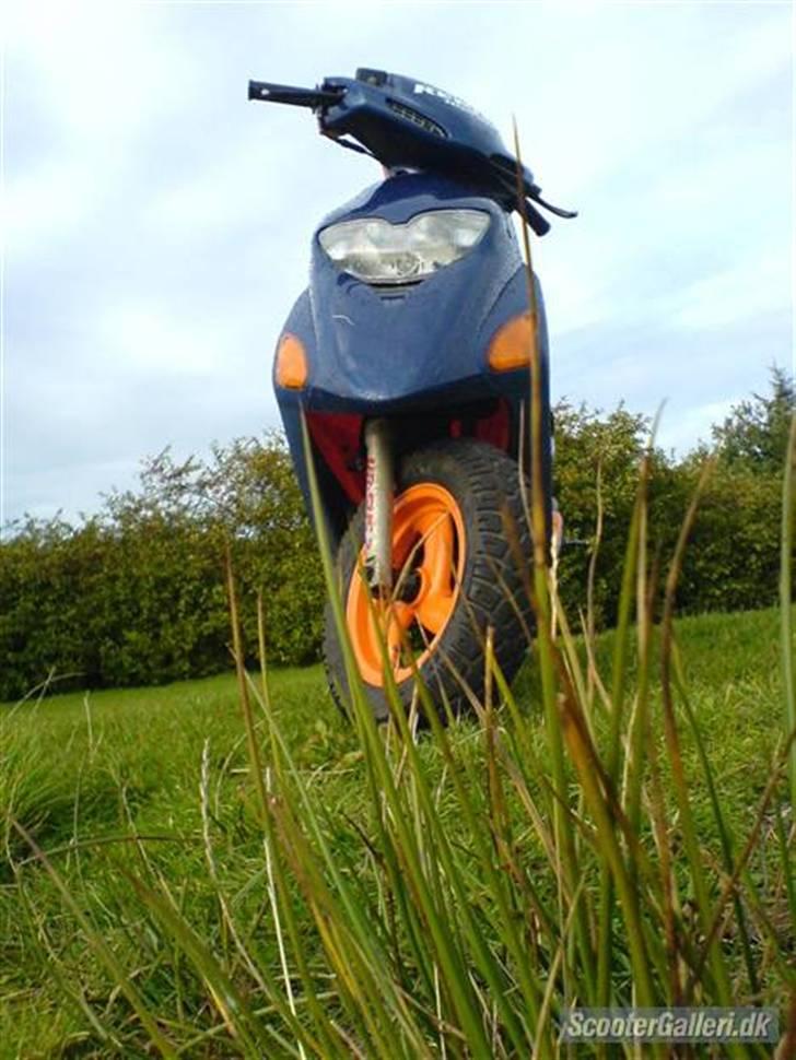 Honda Sfx Repsol STJÅLET billede 5