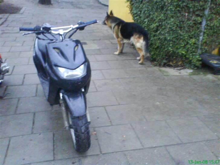 CPI popcorn ac byttet  - hunden kom lige med på billlede billede 10