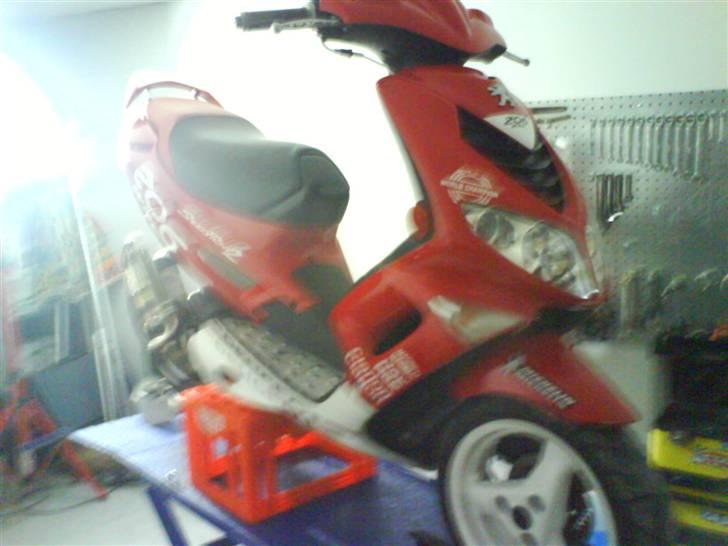 Peugeot 206 Wrc  billede 6