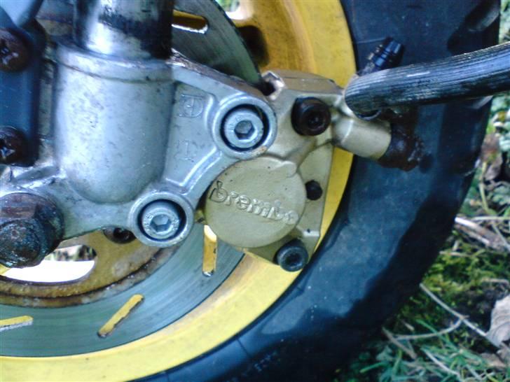 Gilera Stalker billede 7