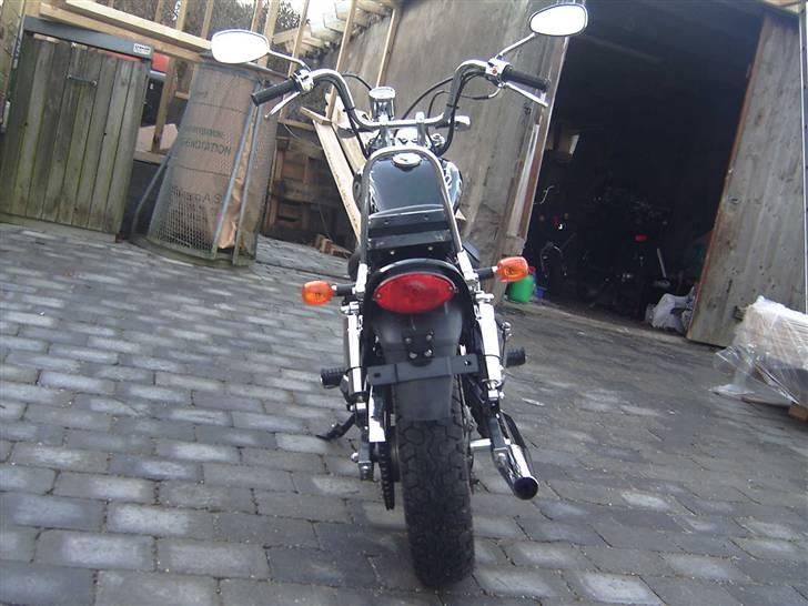 Regal Raptor DD50QE-3 SOLGT billede 5