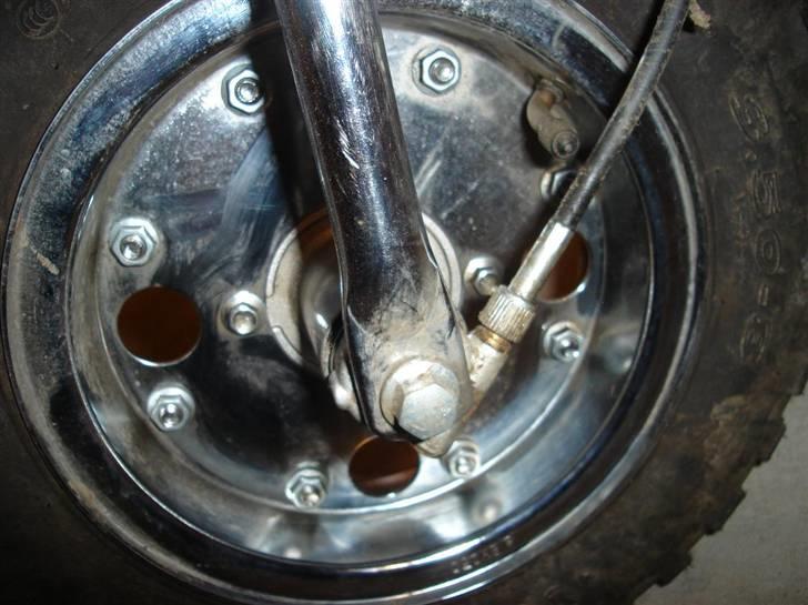 Jincheng Monkey   [SOLGT] billede 6