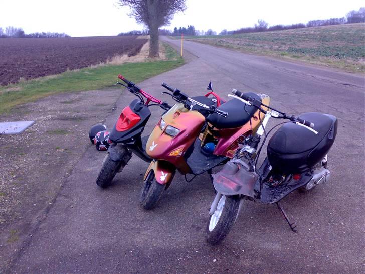 Kreidler easy rider   SoLgt ! billede 16