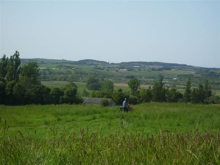 KTM 125 SX (SOLGT) billede 12