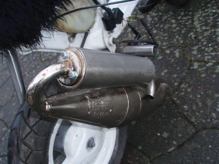 Suzuki Fz50/Sonic - Solgt billede 3