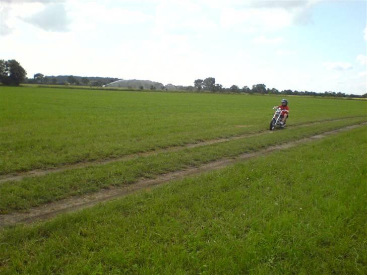 MiniBike Chopper billede 5