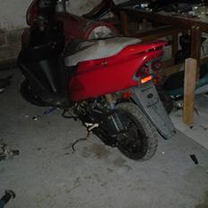 Honda Sfx (SOLGT)