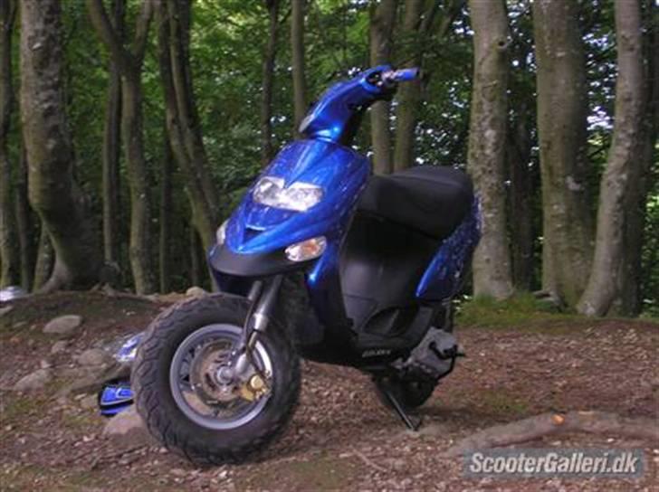 Gilera stalker solgt billede 7