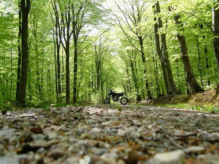 CPI Super Motard *hverdags* billede 9