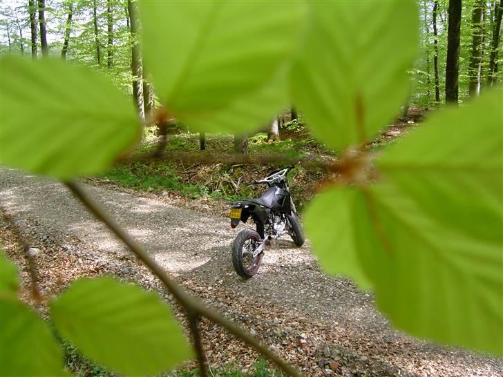 CPI Super Motard *hverdags* billede 10