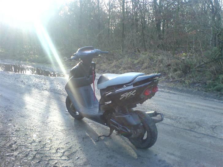 Honda SFX"  BYTTET ! billede 2