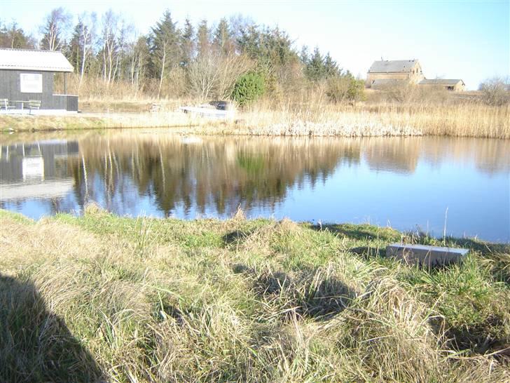 Puch maxi S billede 8