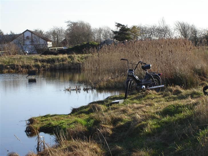 Puch maxi S billede 12