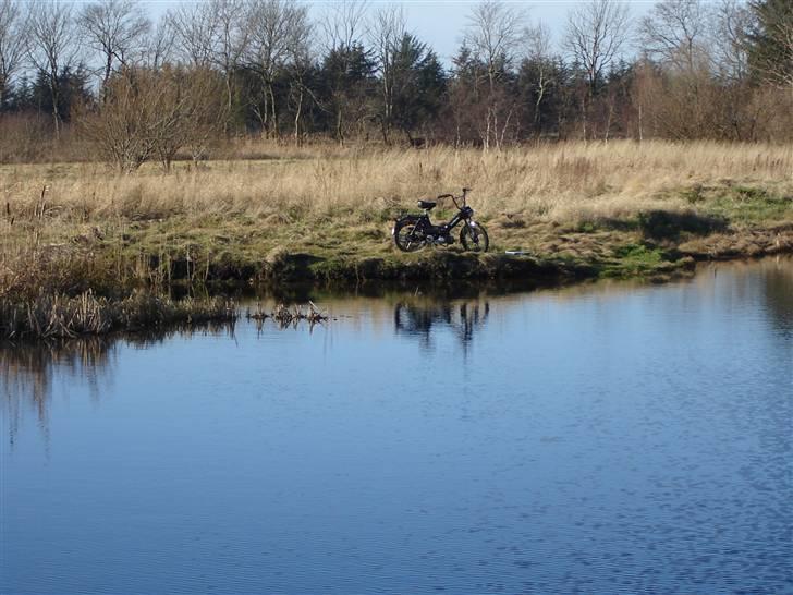 Puch maxi S billede 15