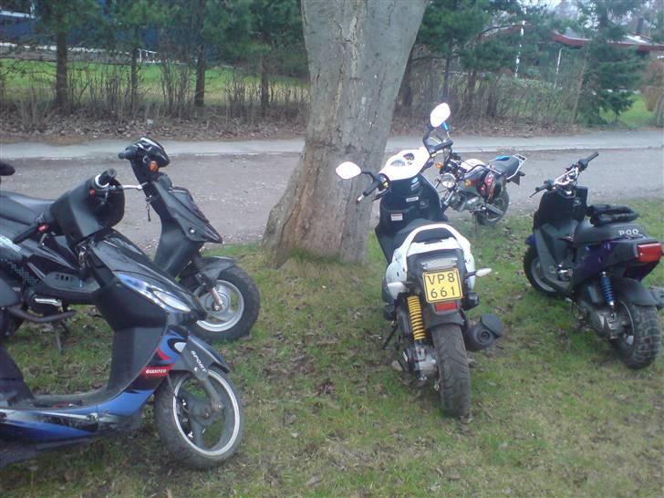 PGO Pmx No Fear (TIL SALG) - min og nogen venners scootere billede 13