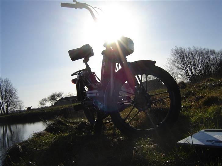 Puch maxi S billede 17