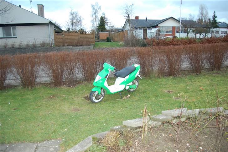 Piaggio NRG Solgt billede 10